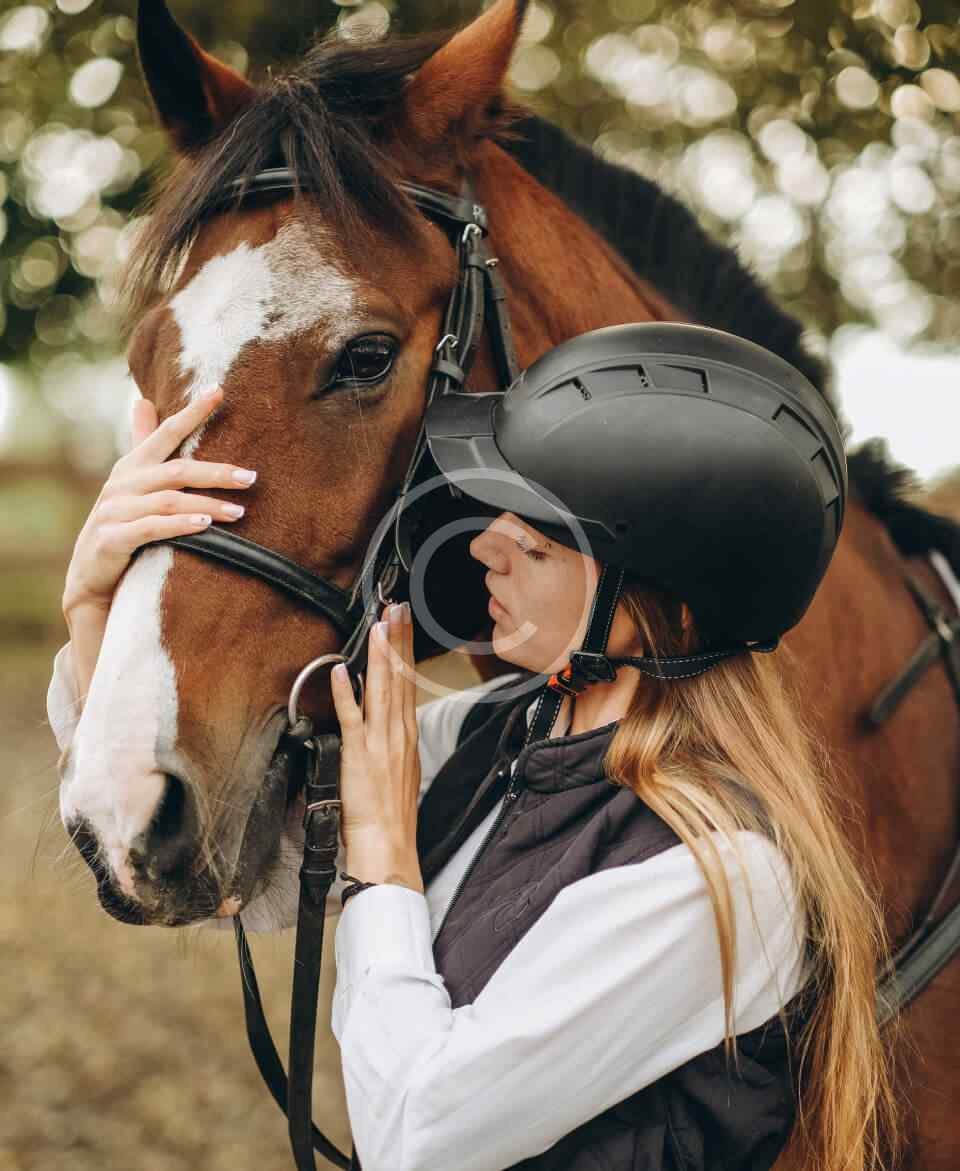 Equestrian centre Prospect